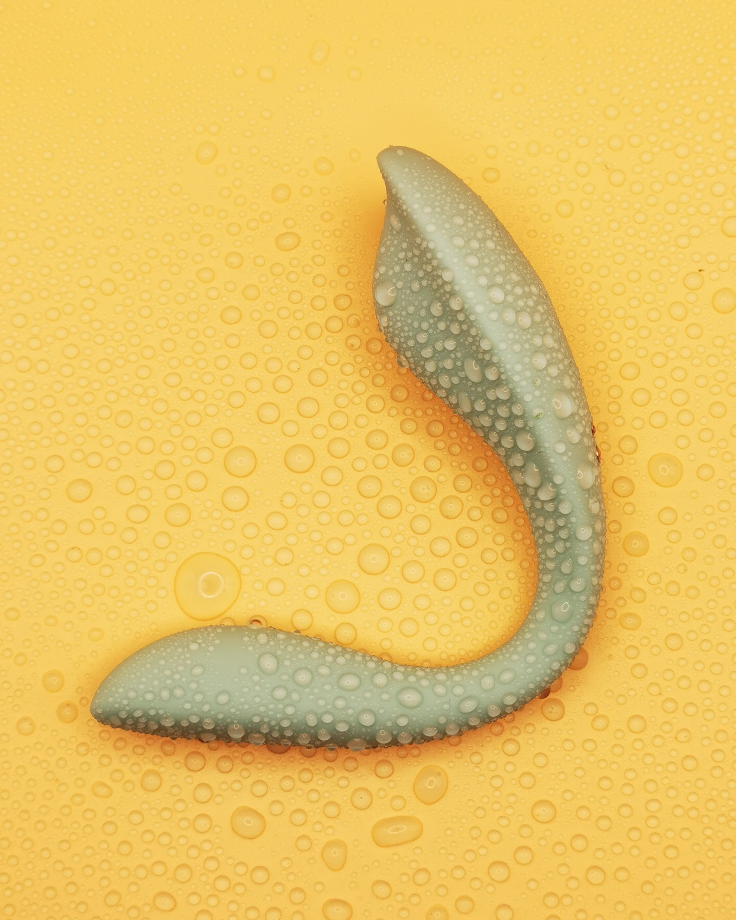 Tuned In - Remote-Controlled Wearable Vibrator