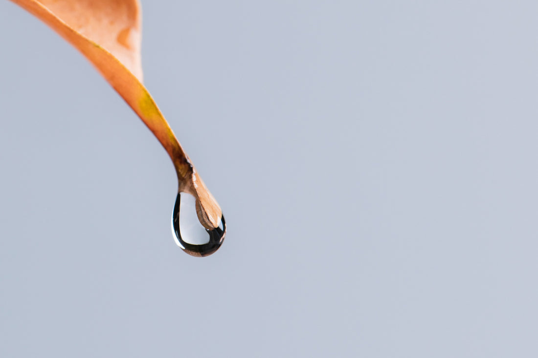 Lube Is Essential for Pleasure